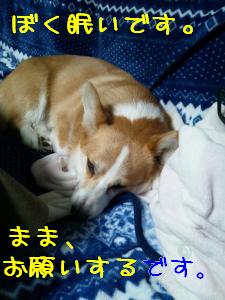 ままに任せます。