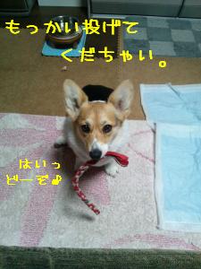 わんすもあ。