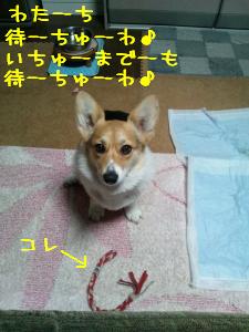 待~ちゅ~わ。
