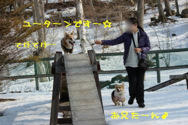楽しそうな萌香たん