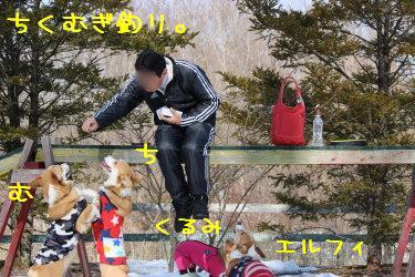 ちくむぎブラザーズ