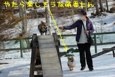 てか萌香たんも乗れば?