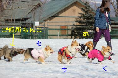 わーいわーい