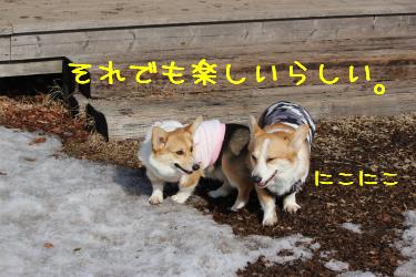 それでも楽しい。