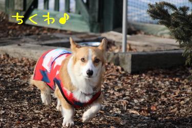 ちく
