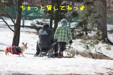 エルフィ父さんそりに乗る