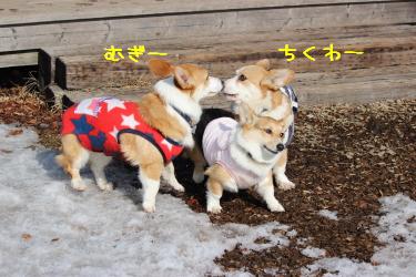 ちく麦挨拶