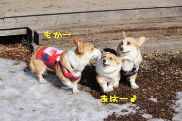 あはー♪