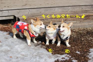 3兄妹