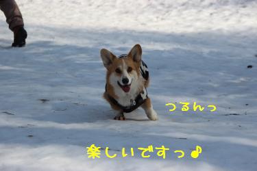 楽しいですっ♪