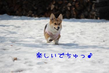 楽ちいでちゅっ♪