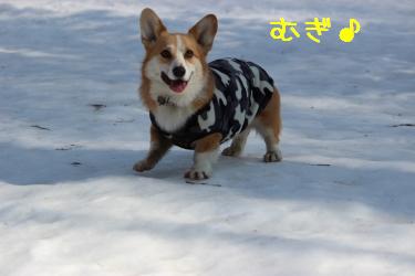 麦
