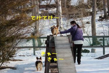 ちゃんとできるよ♪