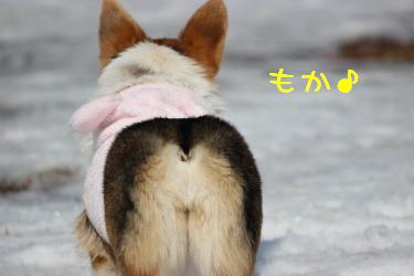 萌香