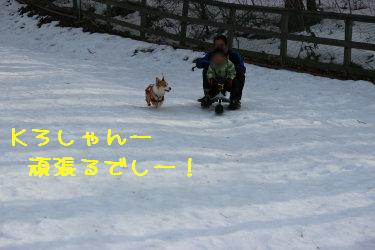 Kろしゃん頑張るでしっ♪