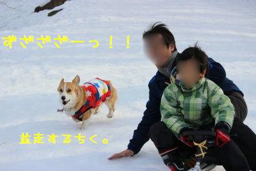 いい風景だねー☆