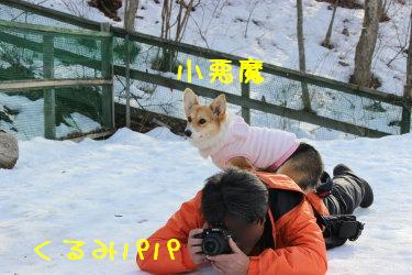 おてんば萌香&くるみパパ