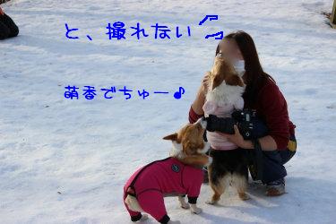 お姉しゃ~ん♪