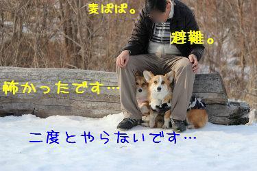 怖かった・・・・