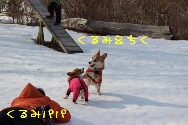 ちくくる&くるみパパ