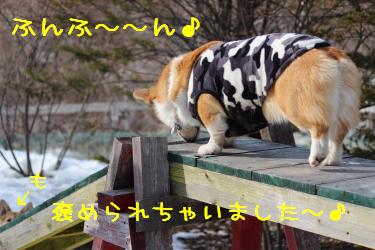 ふんふ~ん♪