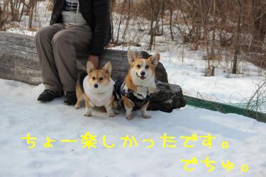 次はお泊りです。