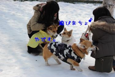 遊びまちょー♪