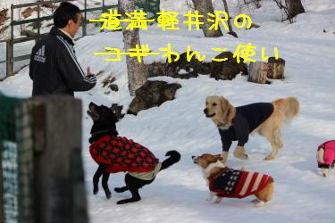 この日はわんこ使いのエルフィ父さん