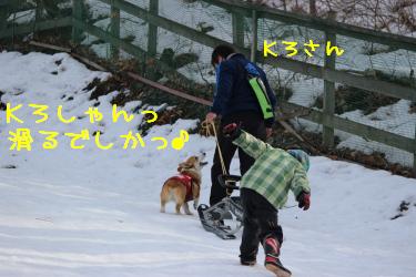 滑るでしかっ♪