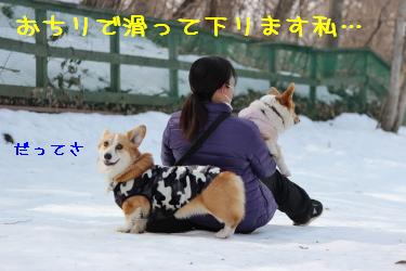 怖いからおちりで下りるぉ。
