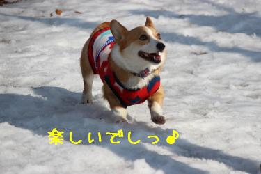 楽しいでしっ♪
