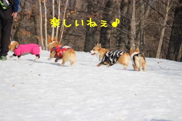 みんな楽しい