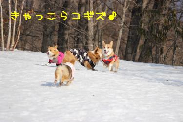 みんな仲良し
