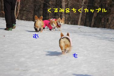 むぎもかっちり