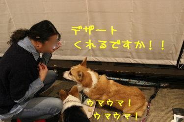 デザートくれるですか!!