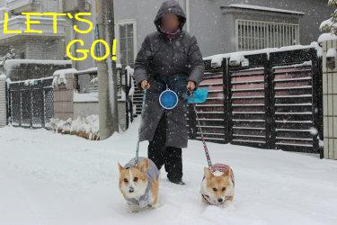 雪遊びにれっつごー。