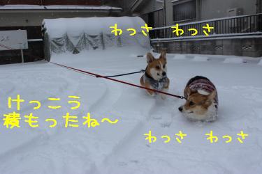 とある月極駐車場にて。
