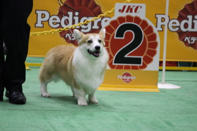 JAKE2.jpg