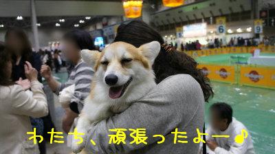 SOPHIE6.jpg