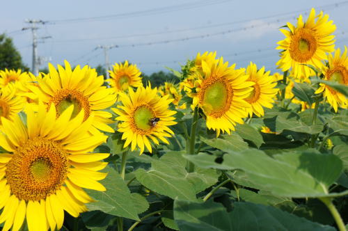 2012-8-10-6.jpg