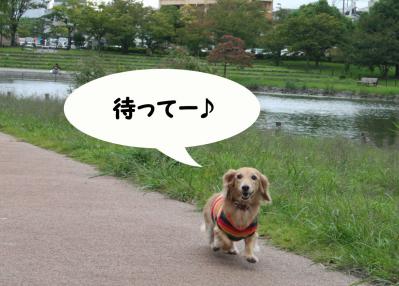 201209302