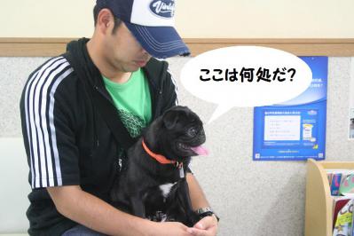 201209119