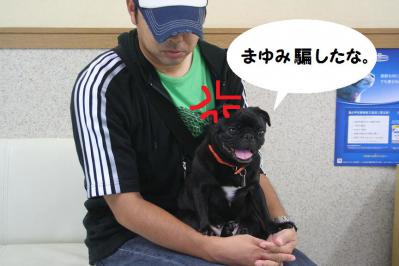 2012091111