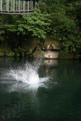 201209126