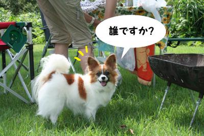 201209134