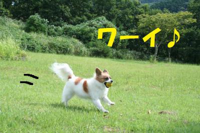 201209135