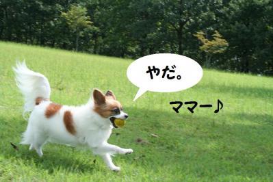 201209136