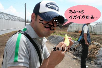 2012091311