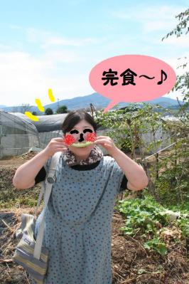 2012091312