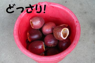 2012091316